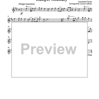 Trumpet Voluntary - Violin 1