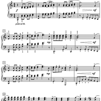 A Shelter in the Time of Storm