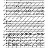 Il Vitalino raddoppiato - Full Score