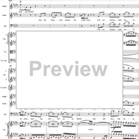 "O selige Wonne! Die glänzende Sonne steigt", No. 8 from "Zaide", Act 1, K336b (K344) - Full Score