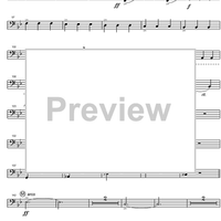 Concertino - String Bass