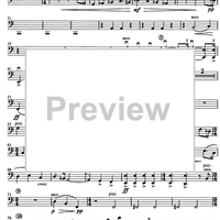 Concertino giocoso Op. 12 - Double Bass