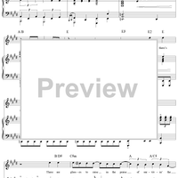 The Streets of Dublin