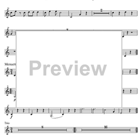 Divertimento No. 7 D Major KV205 - Horn in D 2