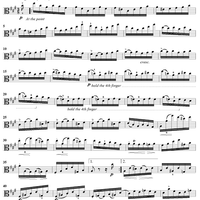 Caprice No. 10 from "Twenty-Four Caprices"