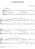 Calico Waltz