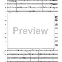 Sonata from "Die bankelsangerlieder" - Score