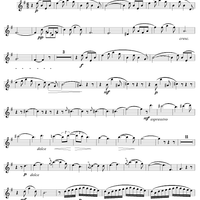 Sonata ("Undine"), op. 167 - Flute