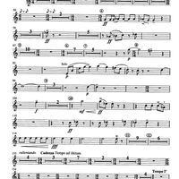 Concertino giocoso Op. 12 - Horn in F 1