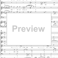 A Sparrow Hawk Proud