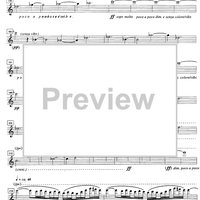 Scheherazade forteller videre - Violin