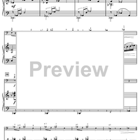 Harry's Wondrous World