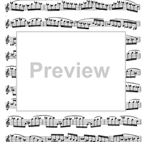 Preliminary studies to 'The Accomplished Clarinettist' Vol. 2 - Clarinet