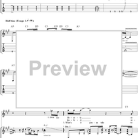 Ballot or the Bullet