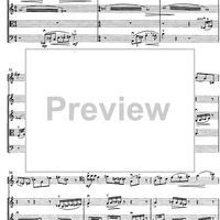 Contrabbasso concertante - Score