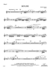 Skyline - Flute 2