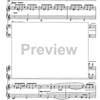 Sonatina in due tempi