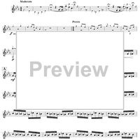 Flight of the Bumblebee