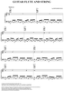 Guitar Flute and String