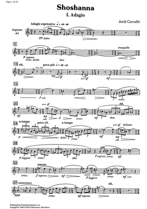 Shoshanna - B-flat Soprano Saxophone