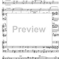 Die Stadtmusikanten - Score