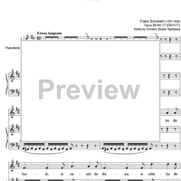 Im Dorfe Op.89 No.17 D911