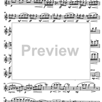 Impromptu No.25 Op.84 - Flute