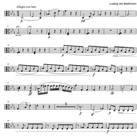 String Quintet c minor Op.104 - Viola 2