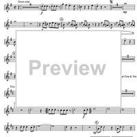 Radetzky Marsch Op.228 - Baritone Horn