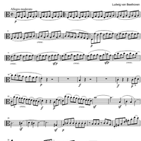 String Quintet C Major Op.29 - Viola 1