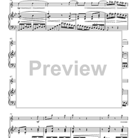 Variations on “Là ci darem la mano”