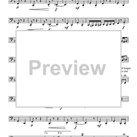 Wild Cherries Rag - Tuba