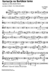 Variation on Béla Bartók theme - Viola