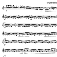 The Flight of the Bumble-Bee from "The Tale of Tsar Sultan" - Marimba Solo