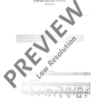 Florian auf der Wolke - Vocal/piano Score