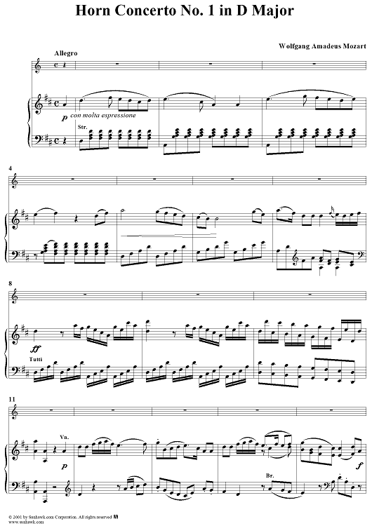 Horn Concerto No. 1 in D major - K412 - Piano