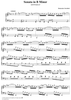 Sonata in B minor - K197/P124/L147