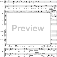 Aria for Tenor and Orchestra: "Per pietà, non ricercate", K. 420 - Full Score