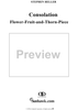Flower-Fruit-and-Thorn-Pieces (Blumen-Frucht-und-Dornstücke), op. 82 - No. 13. Consolation