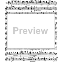 Mandolin & Guitar Collection No. 22 - Banjo Solo