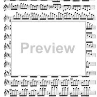 Cadenza Concerto RV208 Grosso Mogul 1st and 3rd movement - Violin