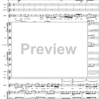 "Tiger! Wetze nur die Klauen", No. 13 from "Zaide", Act 2, K336b (K344) - Full Score