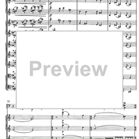 Contrabbasso concertante - Score