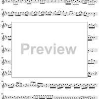 Sonata No. 1 in D Major - Flute