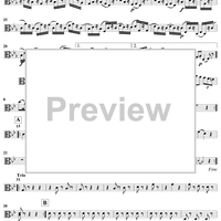 String Quartet No. 12 in B-flat Major, K172 - Viola