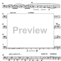 Concertino - Bassoon