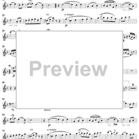 Wind Quintet in C Major, Op. 79 - Flute