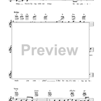 Flying Without Wings