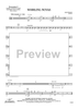 Whirling Novas - Percussion 2