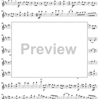 String Quartet No. 7 in D Major, D94 - Violin 1